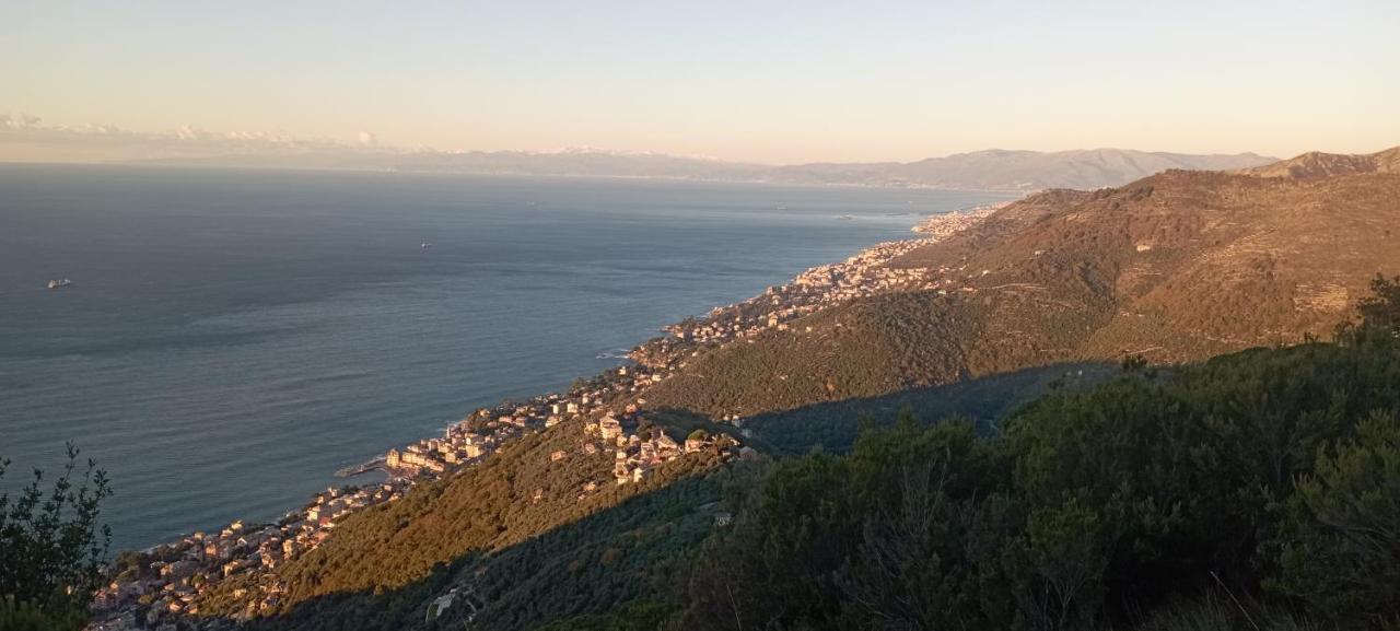 In Scia Costa Apartment Bogliasco Luaran gambar