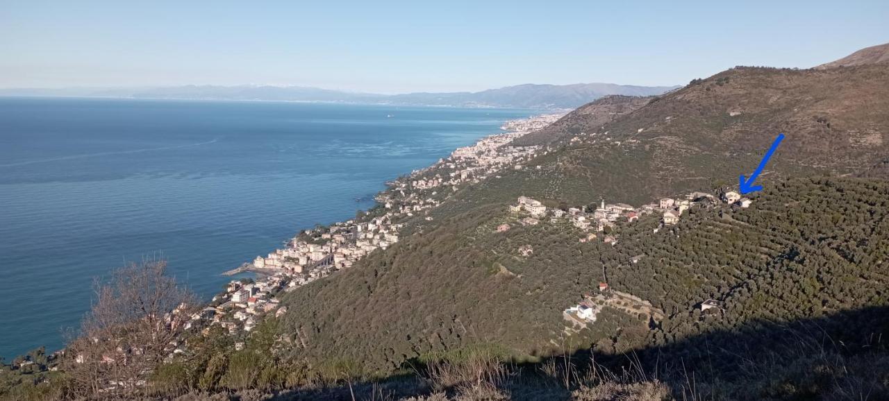 In Scia Costa Apartment Bogliasco Luaran gambar